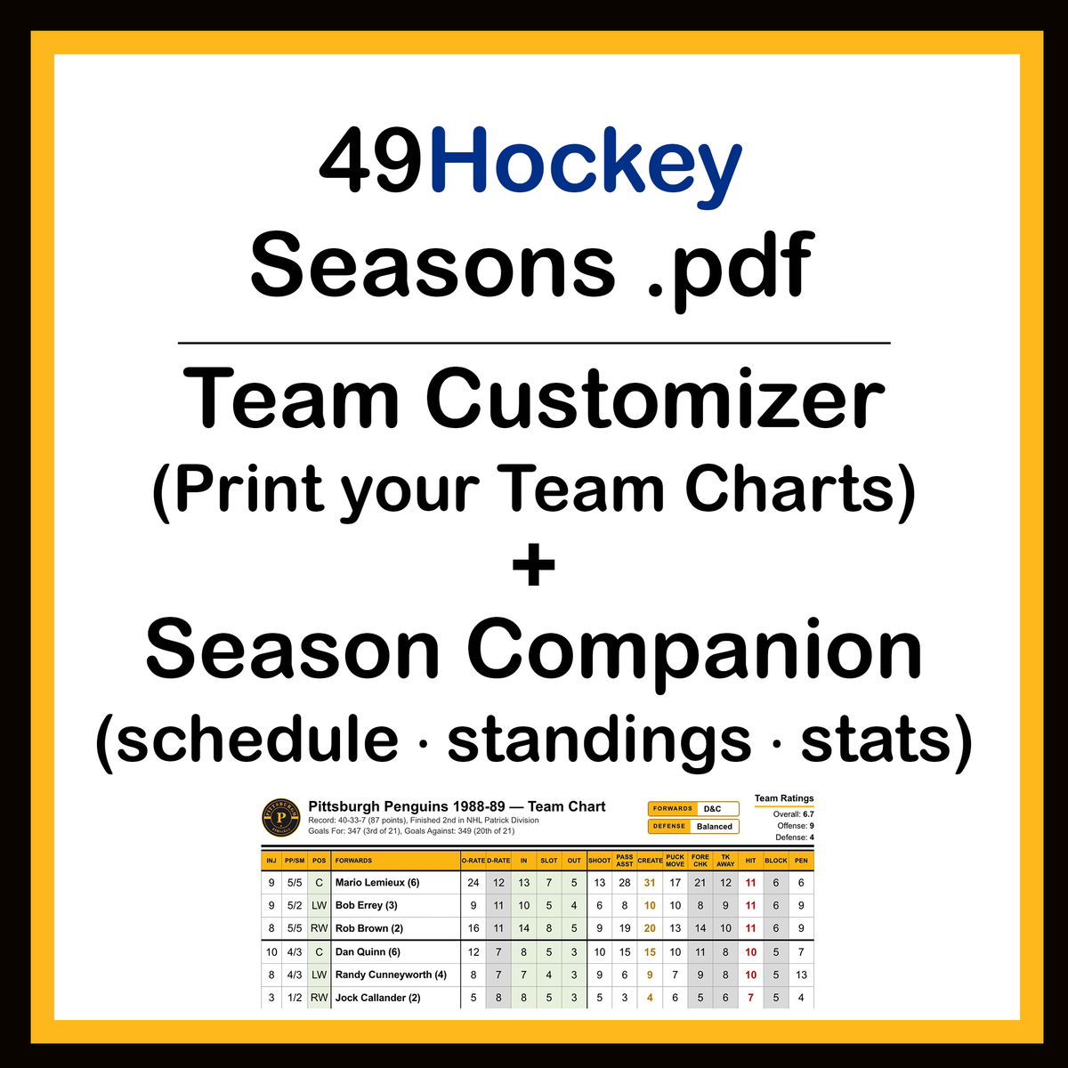 Hockey Team Customizer & Season Companion, .pdf